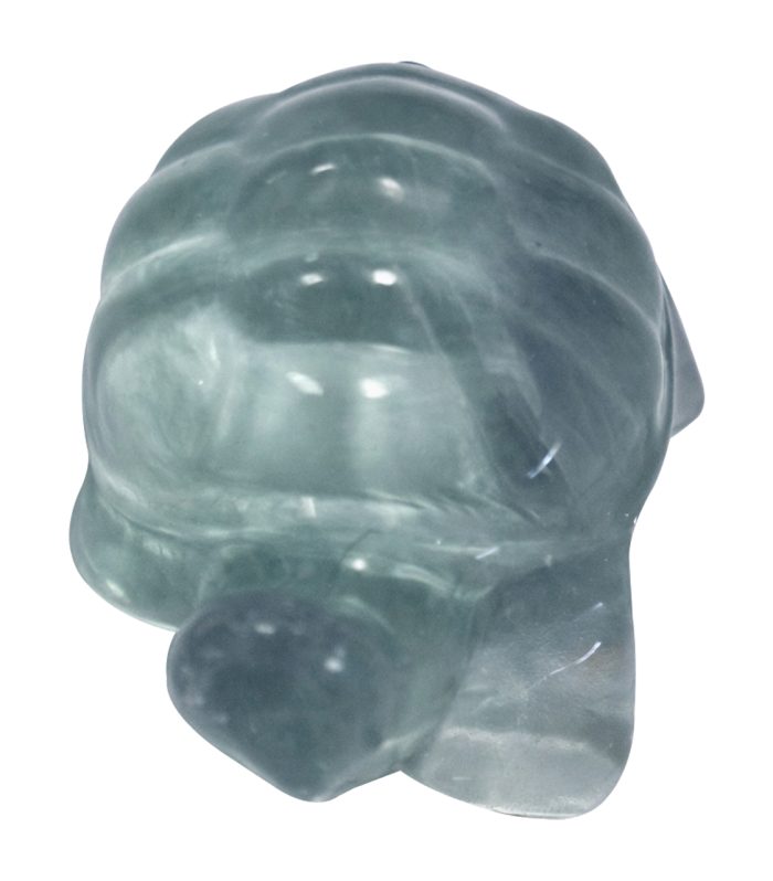 Fluorite Tortoise Gemstone